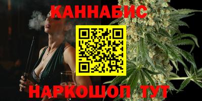 мдпв Новодвинск