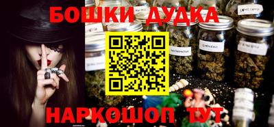 мдпв Новодвинск