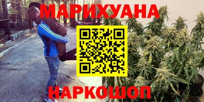 каннабис Новокубанск