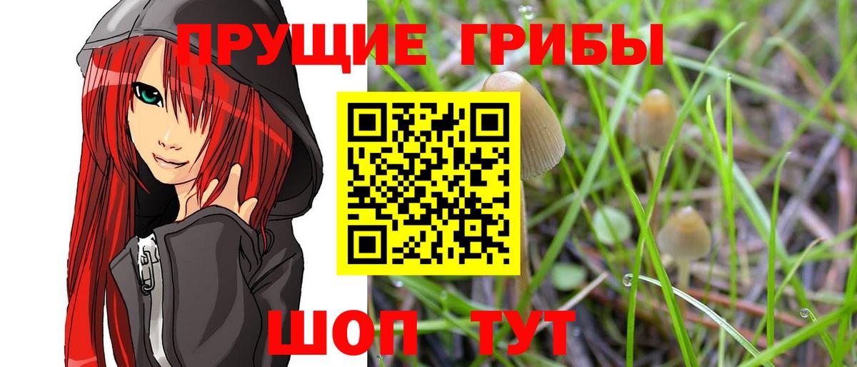 Псилоцибиновые грибы мухоморы  Вход с VPN  Псилоцибиновые грибы Magic Shrooms  Урай 